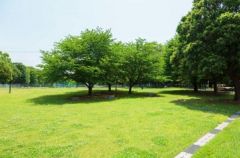 周辺環境・都立城北中央公園