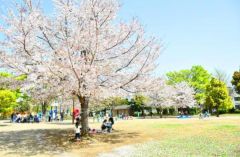 周辺環境・西ケ原みんなの公園