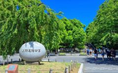 周辺環境・上野恩賜公園