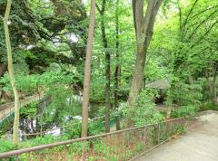 周辺環境・おとめ山公園
