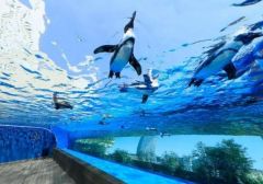サンシャイン水族館