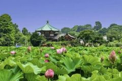 周辺環境・上野恩賜公園