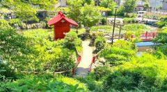 周辺環境・須藤公園