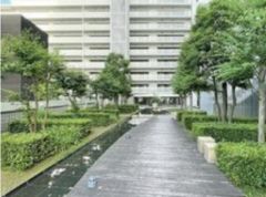 中庭