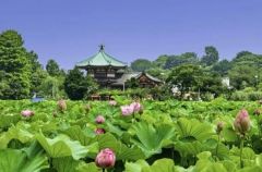 周辺環境・上野公園