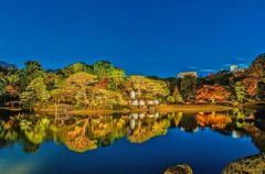 周辺環境・六義園　夏(駒込)
