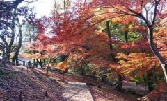 周辺環境・戸山公園