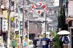 周辺環境・駒込アザレア通り