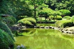 周辺環境・新宿御苑