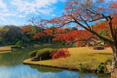 周辺環境・六義園