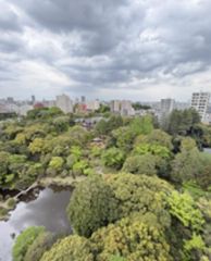 屋上からの眺望