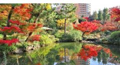 周辺環境・神田川