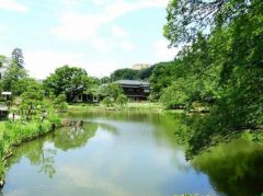 周辺環境：肥後細川庭園
