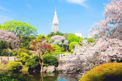 周辺環境・新宿御苑