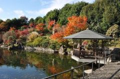 周辺環境・目白庭園