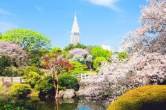 周辺環境・新宿御苑