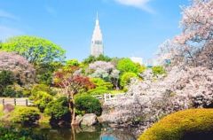 周辺環境・新宿御苑