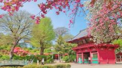 周辺環境・根津神社