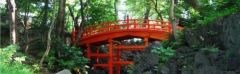 周辺環境・小石川後楽園
