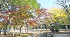 周辺環境・板橋区平和公園