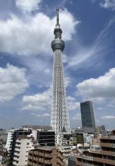 玄関口からの風景