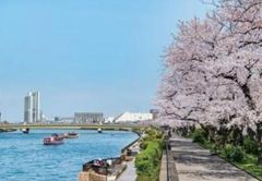 周辺環境・隅田川