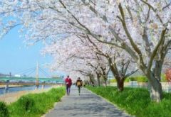新川と遊歩道まで１００ｍ