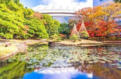 周辺環境・小石川後楽園