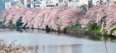 周辺環境・外濠公園