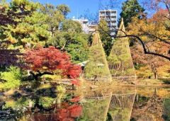 新宿区立甘泉園公園