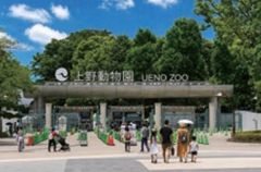 周辺環境・上野動物園