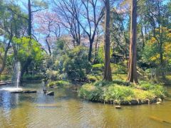 おとめ山公園