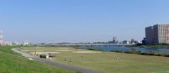 江戸川河川敷