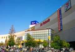 周辺環境・アリオ亀有