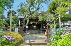周辺環境・白山神社