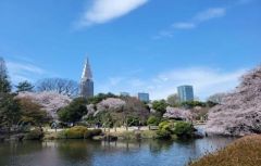 周辺環境・新宿御苑