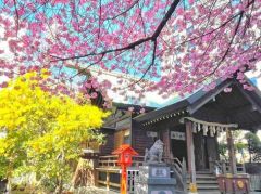 周辺環境・蔵前神社