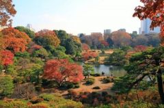 六義園へ徒歩約５分