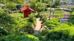 周辺環境・須藤公園