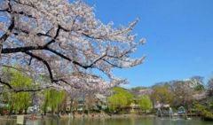 周辺環境・見次公園