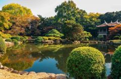 周辺環境・新宿御苑